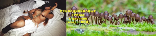 кокс Нея